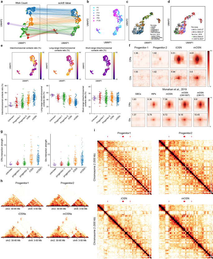 Extended Data Fig. 5