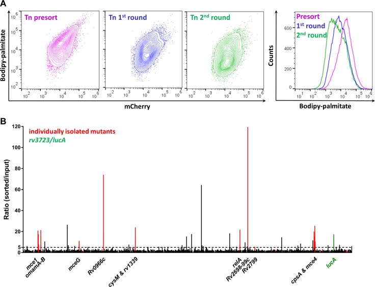 Figure 2.