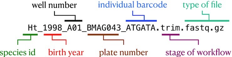 Figure 3: