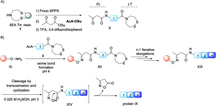 Scheme 2