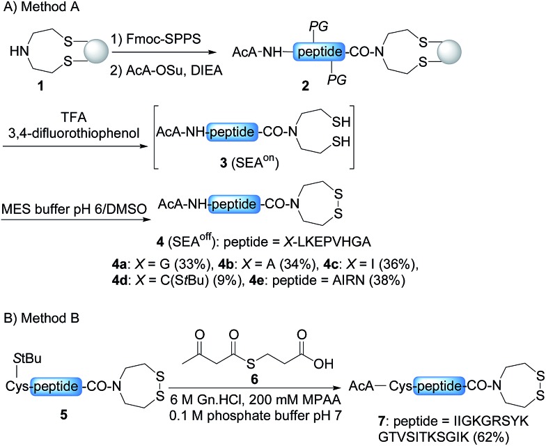 Scheme 3