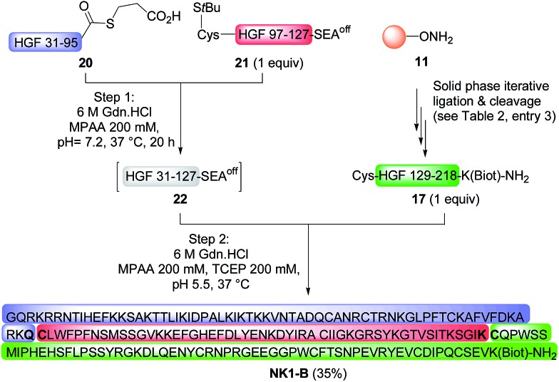 Scheme 6