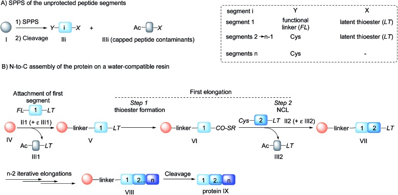 Scheme 1