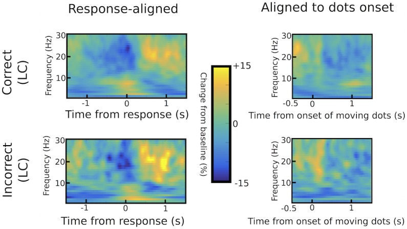 Figure 3—figure supplement 2.