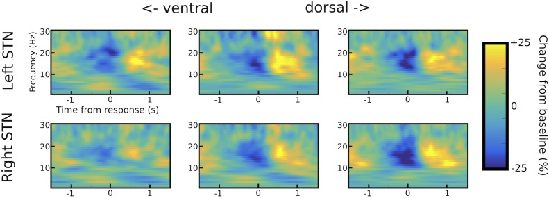 Figure 3—figure supplement 1.