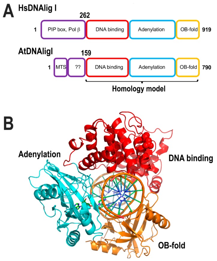 Figure 12