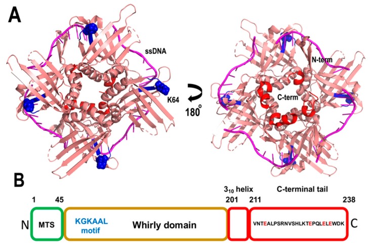 Figure 10