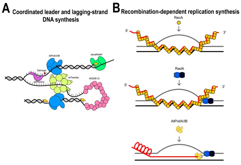 Figure 14