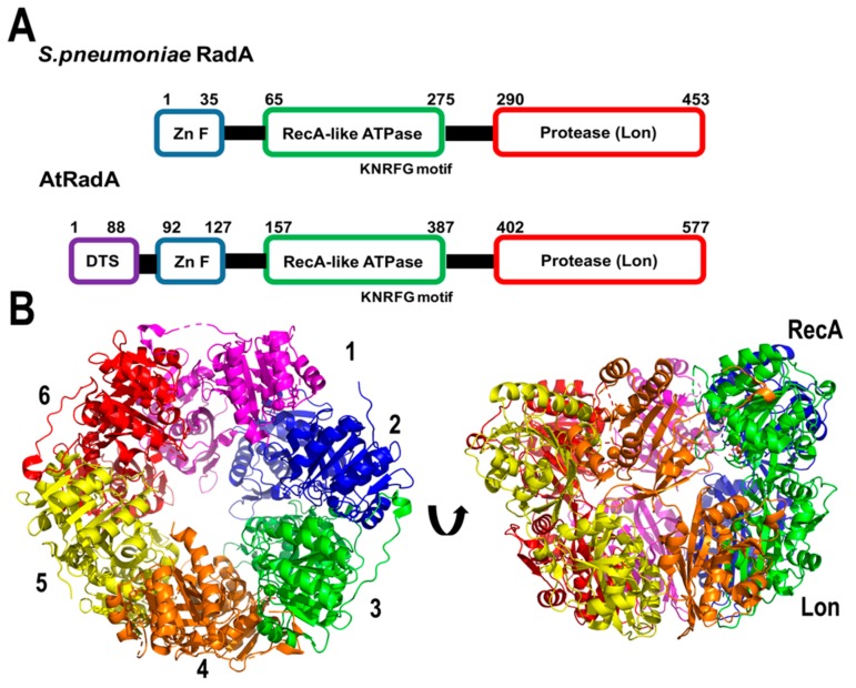 Figure 7