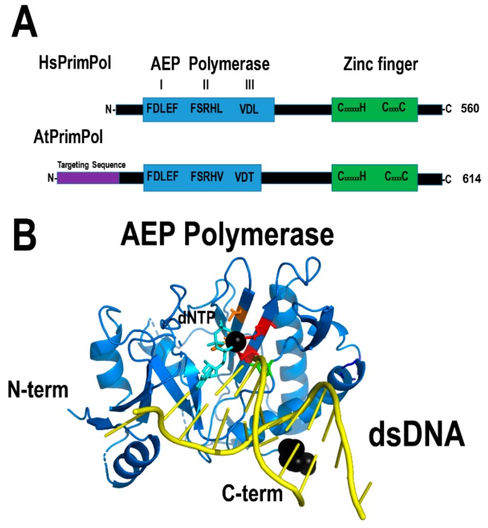 Figure 13