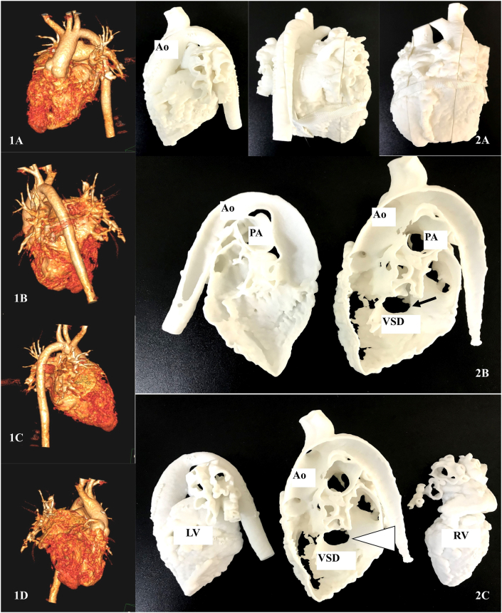 Fig. 2