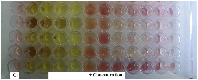 Figure 5