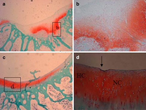 Fig. 4