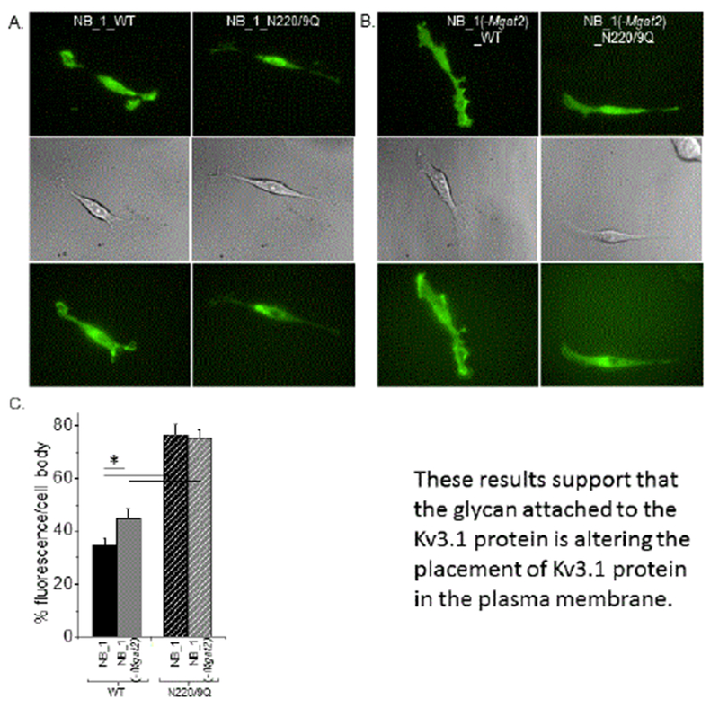 Figure 3: