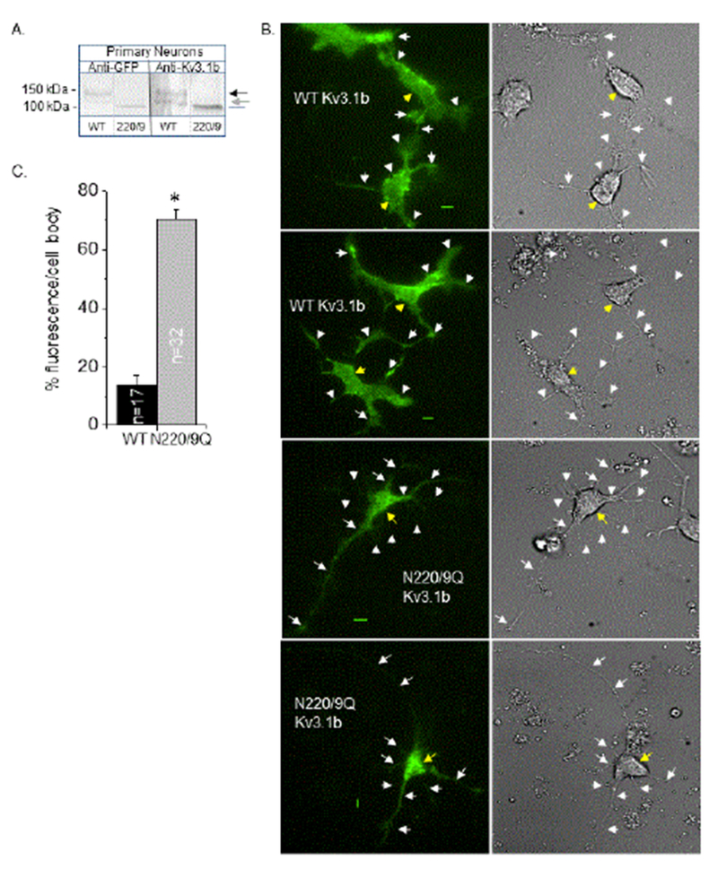 Figure 5: