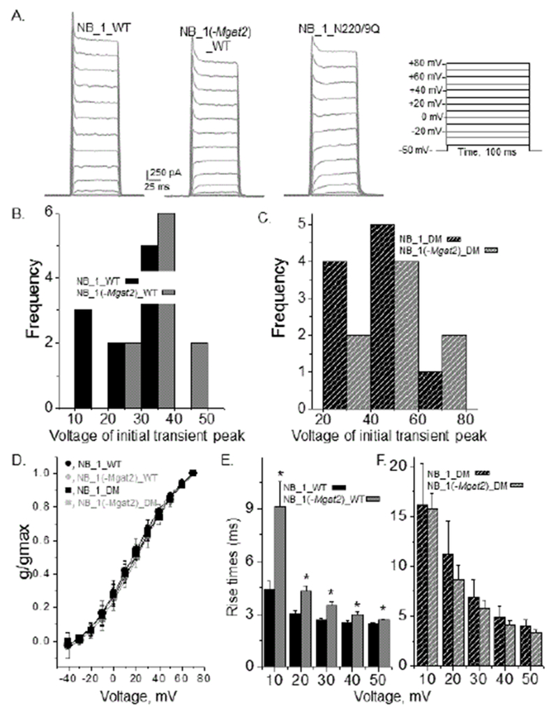 Figure 6: