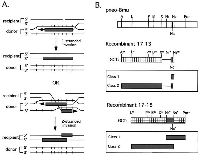 FIG. 6