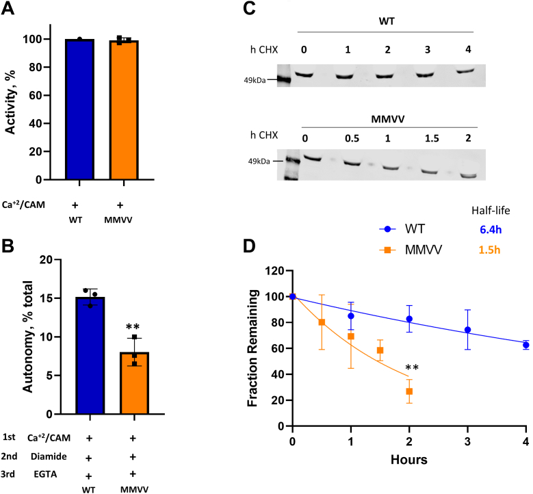 Figure 6