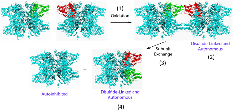 Figure 7