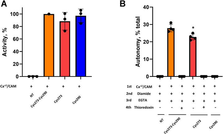 Figure 5