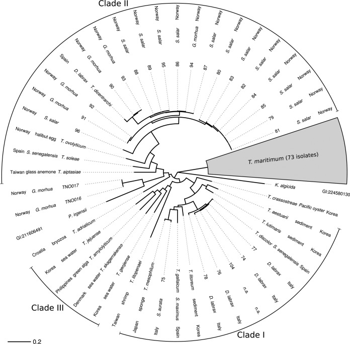 FIG 2