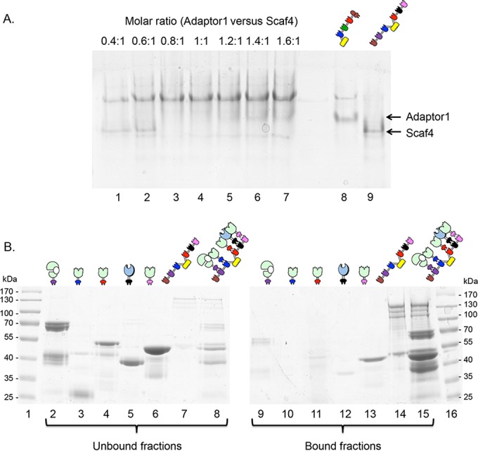 FIG 3 