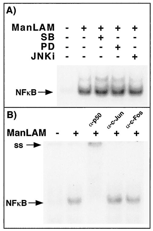 FIG. 8.