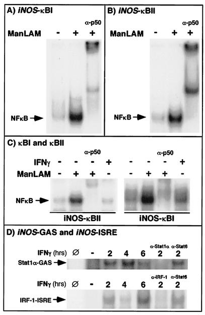 FIG. 5.