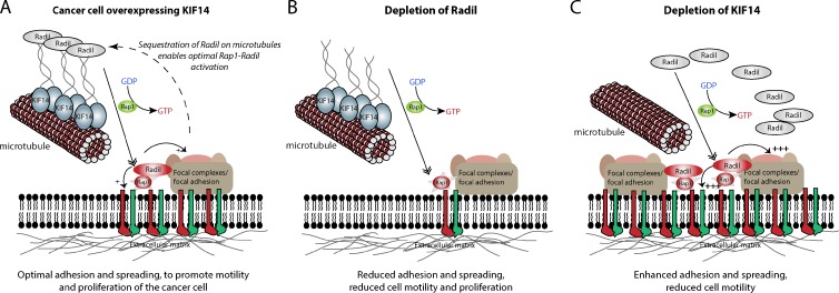 Figure 9.