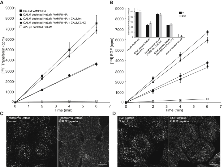 Figure 6