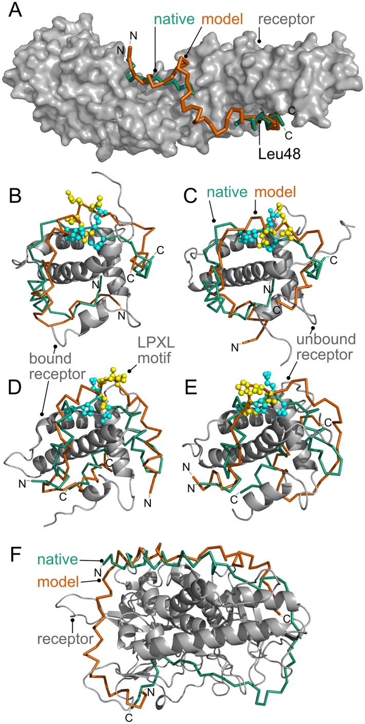 Fig 7