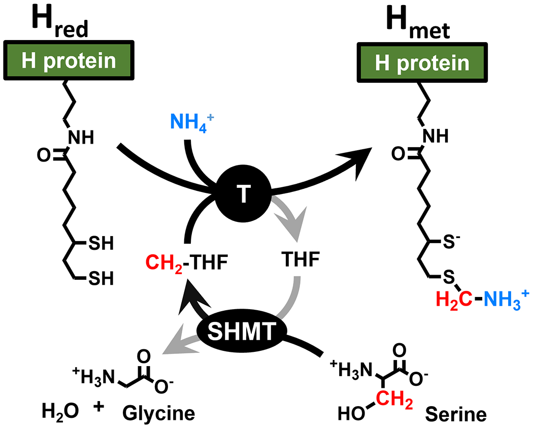 Scheme 1.