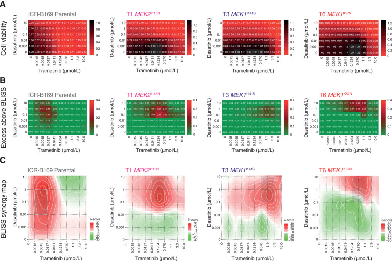 Figure 6. Synergy of combined dasatinib and trametinib in BRAFG469V-driven DIPG cells. A, Cell viability matrices for ICR-B169 parental (gray) and trametinib-resistant clones T1 (MEK2I115N, pink), (T3 MEK1I141S, purple), and T6 (MEK1K57N, red), treated with distinct combinations of dasatinib (y-axes) and trametinib (x-axes) ranging from 0 to 10 μmol/L. A heat map is overlaid to the proportions of viable cells remaining, colored according to the key provided from 1.0 (black, all cells) to 0 (red, no viable cells). B, Excess above BLISS matrices for ICR-B169 parental and trametinib-resistant clones treated with distinct combinations of dasatinib (y-axes) and trametinib (x-axes) ranging from 0 to 10 μmol/L. A heat map is overlaid to the excess score, colored according to the key provided from 0.4 (red, enhanced effects) to 0 (green, no difference). C, BLISS synergy maps for ICR-B169 parental and trametinib-resistant clones treated with distinct combinations of dasatinib (y-axes) and trametinib (x-axes) ranging from 0 to 10 μmol/L. The heat map represents the δ score colored according to the key provided from 30 (red, high degree of synergy) to −30 (green, antagonism).