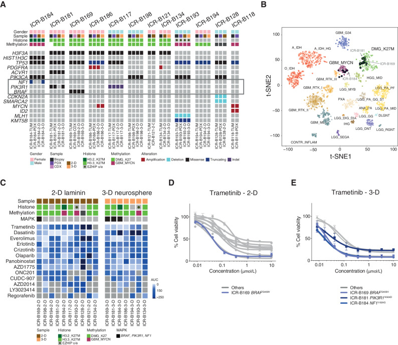 Figure 1. In vitro sensitivity to trametinib in patient-derived DIPG models. A, Oncoprint representation of an integrated annotation of single-nucleotide variants, DNA copy number changes, and structural variants for patient-derived models and tumor biopsy specimens. Samples are arranged in columns with genes labeled along rows. Clinicopathologic and molecular annotations are provided as bars according to the included key. B, The t-statistic–based stochastic neighbor embedding (t-SNE) projection of a combined methylation data set comprising the in vitro models (circled) plus a reference set of glioma subtypes (n = 1,766). The first two projections are plotted on the x- and y-axes, with samples represented by dots colored by subtype as labeled on the figure. C, Drug sensitivities in the mini-screens carried out on cells grown under 2-D and 3-D conditions, visualized by heat map of normalized AUC values. Clinicopathologic and molecular annotations are provided as bars according to the included key. D, Dose–response curves for the MEK inhibitor trametinib tested against patient-derived models in vitro grown in 2-D. E, Dose–response curves for the MEK inhibitor trametinib tested against patient-derived models in vitro grown in 3-D. Cells harboring MAPK pathway alterations are highlighted in blue. Concentration of compound is plotted on a log scale (x-axis) against cell viability (y-axis). Means plus standard errors are plotted from at least n = 3 experiments.