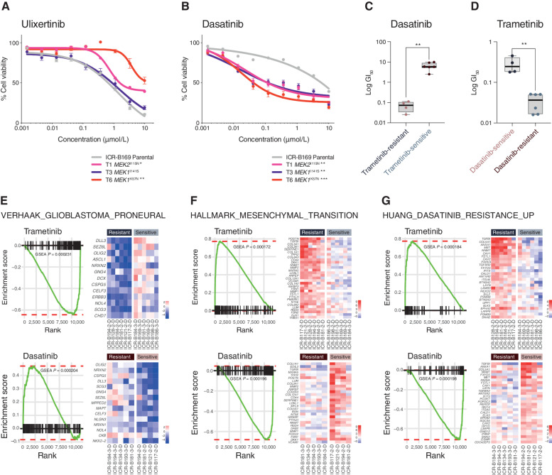 Figure 5. Reciprocity of drug sensitivities and gene expression signatures between trametinib and dasatinib in DIPG cells. A, Dose–response curves for ulixertinib tested against ICR-B169 parental cells (gray) and resistant clones T1 (MEK2I115N, pink), T3 (MEK1I141S, purple), and T6 (MEK1K57N, red). B, Dose-response curves for dasatinib tested against ICR-B169 parental cells (gray) and resistant clones. Concentration of compound is plotted on a log scale (x-axis) against cell viability (y-axis). Means plus standard errors are plotted from at least n = 3 experiments. *, P < 0.05; **, P < 0.01; ***, P < 0.001, AUC t test. C, Box plot of dasatinib GI50 values (log scale, y-axis) for primary patient-derived cultures separated by trametinib sensitivity status. D, Box plot of trametinib GI50 values (log scale, y-axis) for primary patient-derived cultures separated by dasatinib sensitivity status. **, P < 0.001, t test. E, GSEA enrichment plots for the signature VERHAAK_GLIOBLASTOMA_PRONEURAL in primary patient-derived cultures separated by trametinib (top) or dasatinib (bottom) sensitivity status. The curves show the enrichment score on the y-axis and the rank list metric on the x-axis. Alongside are heat map representations of expression of significantly differentially expressed genes in the signature in all trametinib- or dasatinib-resistant versus sensitive cell cultures. F, GSEA enrichment plots for the signature HALLMARK_EPITHELIAL_ MESENCHYMAL_TRANSITION in primary patient-derived cultures separated by trametinib (top) or dasatinib (bottom) sensitivity status. The curves show the enrichment score on the y-axis and the rank list metric on the x-axis. Alongside are heat map representations of expression of significantly differentially expressed genes in the signature in all trametinib- or dasatinib-resistant versus sensitive cell cultures. G, GSEA enrichment plots for the signature HUANG_DASATINIB_RESISTANCE_UP in primary patient-derived cultures separated by trametinib (top) or dasatinib (bottom) sensitivity status. The curves show the enrichment score on the y-axis and the rank list metric on the x-axis. Alongside are heat map representations of expression of significantly differentially expressed genes in the signature in all trametinib- or dasatinib-resistant versus sensitive cell cultures.