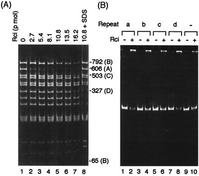 FIG. 5