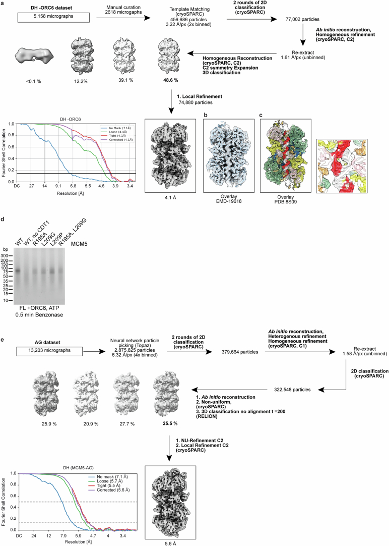 Extended Data Fig. 3