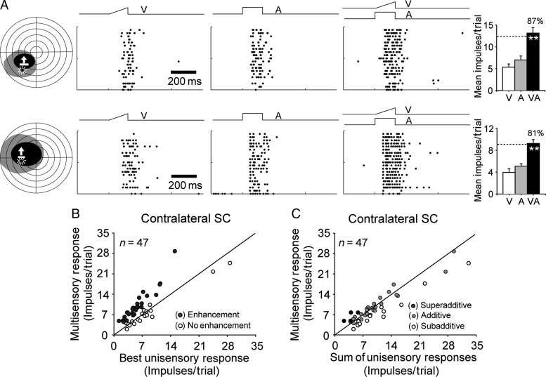 Figure 3.