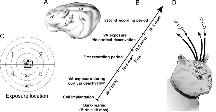 Figure 1.