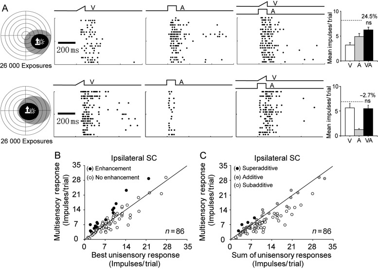 Figure 2.