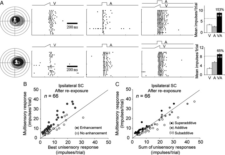 Figure 4.