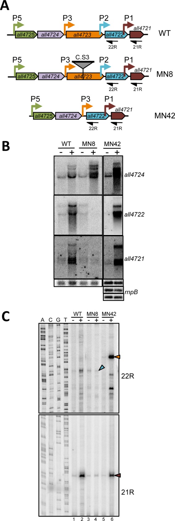 Fig 4