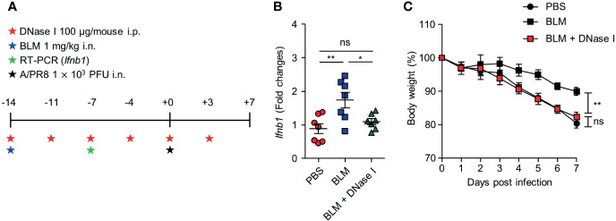 Figure 5