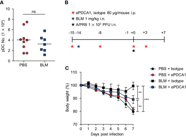 Figure 6