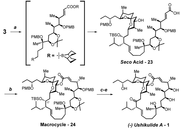 Scheme 5