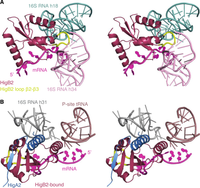 Figure 6.