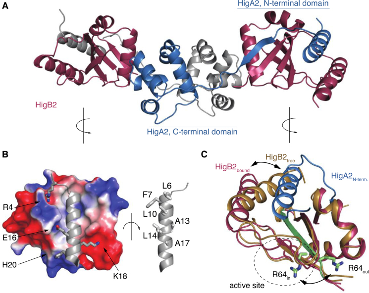 Figure 4.