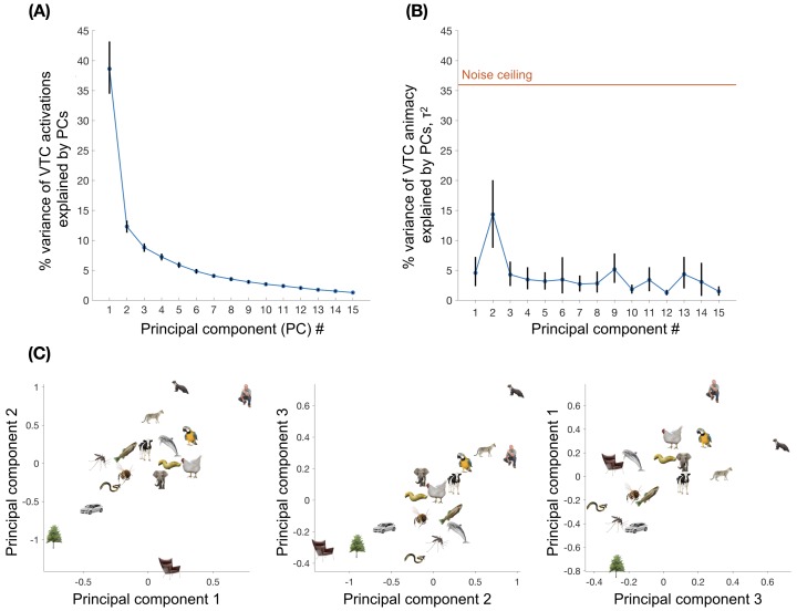 Figure 4—figure supplement 1.