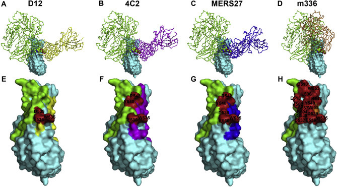 Fig. 3