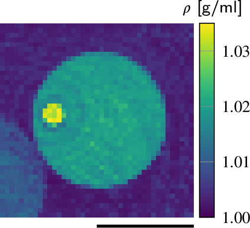 Figure 1—figure supplement 1.